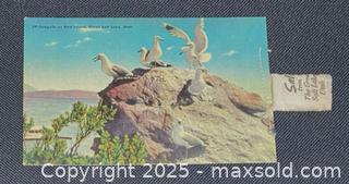 MaxSold Auction: 1937 Vtg Postcards & Salt from the Great Salt Lake - Maple Shade (New Jersey, USA) SELLER MANAGED Downsizing Online Auction - Martin Avenue