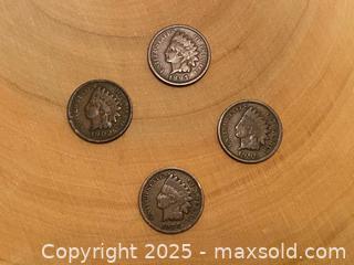 MaxSold Auction: Four Indian Head Pennies - Maple Shade (New Jersey, USA) SELLER MANAGED Downsizing Online Auction - Martin Avenue