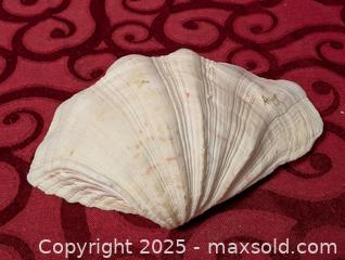 MaxSold Auction: large Seashell Decor or use as a Dish or ashtray - Inverary (Ontario, Canada) SELLER MANAGED Moving Online Auction - Battersea Road