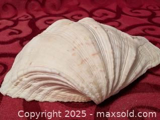 MaxSold Auction: large Seashell Decor or use as a Dish or ashtray - Inverary (Ontario, Canada) SELLER MANAGED Moving Online Auction - Battersea Road