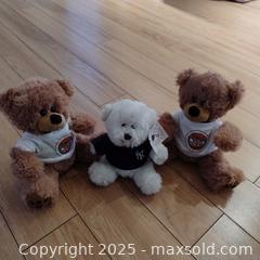 MaxSold Auction: Plush Teddy Bear with Shirt, approx. 10–14 in - Gananoque (Ontario, Canada) SELLER MANAGED Downsizing Online Auction -  Highway 2 West(STORAGE)                      