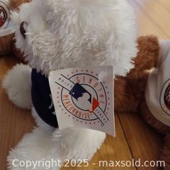 MaxSold Auction: Plush Teddy Bear with Shirt, approx. 10–14 in - Gananoque (Ontario, Canada) SELLER MANAGED Downsizing Online Auction -  Highway 2 West(STORAGE)                      