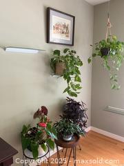 MaxSold Auction: Houseplants - Port Ludlow (Washington, USA) PARTNER MANAGED Estate Sale Online Auction - Fair Wind Court