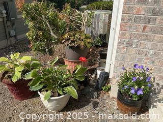 MaxSold Auction: Plants And Planters - Port Ludlow (Washington, USA) PARTNER MANAGED Estate Sale Online Auction - Fair Wind Court