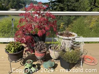 MaxSold Auction: Plants, Planters, And More - Port Ludlow (Washington, USA) PARTNER MANAGED Estate Sale Online Auction - Fair Wind Court
