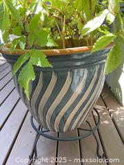 MaxSold Auction: Two Plants On Stands - Port Ludlow (Washington, USA) PARTNER MANAGED Estate Sale Online Auction - Fair Wind Court