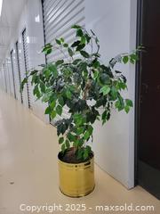 MaxSold Auction: Artificial Tree in Brass Planter - Ottawa (Ontario, Canada) SELLER MANAGED Downsizing Online Auction - Didsbury Road (STORAGE)
