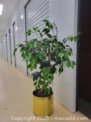 MaxSold Auction: Artificial Tree in Brass Planter - Ottawa (Ontario, Canada) SELLER MANAGED Downsizing Online Auction - Didsbury Road (STORAGE)