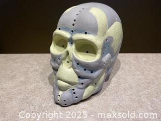 MaxSold Auction: Anatomical Human Skull Model – Painted Muscle and Nerve Reference - London (Ontario, Canada) PARTNER MANAGED Downsizing Online Auction - Trillium Crescent