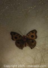 MaxSold Auction: MCM fiberglass serving bowls or chip and dip, 1960s - Ottawa (Ontario, Canada) SELLER MANAGED Downsizing Online Auction - Beaver Ridge