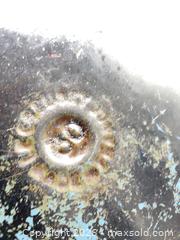 MaxSold Auction: Le Creuset 12-inch Enameled Cast Iron Skillet Frying Pan France 30 Blue  - Smiths Falls (Ontario, Canada) SELLER MANAGED Reseller Online Auction -  Autumn Drive