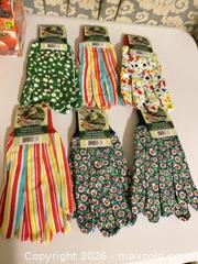 MaxSold Auction: Tomato Rocket Seed Kits, Seed Starter Pots and 6 Pairs Gardening Gloves Lot F - Smiths Falls (Ontario, Canada) SELLER MANAGED Reseller Online Auction -  Autumn Drive