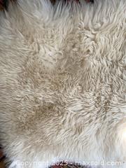 MaxSold Auction: Single-Pelt Sheepskin Rug, White/Ivory, 25&#34; x 45&#34;, Natural Shape - Kingston (Ontario, Canada) SELLER MANAGED Downsizing Online Auction - College Street