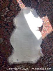 MaxSold Auction: Single-Pelt Sheepskin Rug, White/Ivory, 25&#34; x 45&#34;, Natural Shape - Kingston (Ontario, Canada) SELLER MANAGED Downsizing Online Auction - College Street