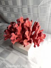MaxSold Auction: Pinkish-Red Decorative Coral Sculpture, 8–10 in - Toronto (Ontario, Canada) SELLER MANAGED Estate Sale Online Auction - Esander Drive (STORAGE)