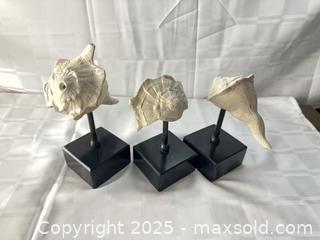 MaxSold Auction: Set of 3 Decorative Seashell Sculptures on Stands a - Toronto (Ontario, Canada) SELLER MANAGED Estate Sale Online Auction - Esander Drive (STORAGE)