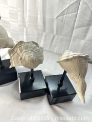 MaxSold Auction: Set of 3 Decorative Seashell Sculptures on Stands a - Toronto (Ontario, Canada) SELLER MANAGED Estate Sale Online Auction - Esander Drive (STORAGE)