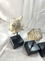 MaxSold Auction: Set of 3 Decorative Seashell Sculptures on Stands a - Toronto (Ontario, Canada) SELLER MANAGED Estate Sale Online Auction - Esander Drive (STORAGE)