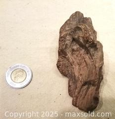 MaxSold Auction: Petrified wood from central Algeria - Toronto (Ontario, Canada) SELLER MANAGED Downsizing Online Auction - Floyd Avenue