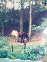 MaxSold Auction: 30 X 24 framed print  - Haldimand (Ontario, Canada) SELLER MANAGED Downsizing Online Auction - Ramsey Drive (STORAGE)