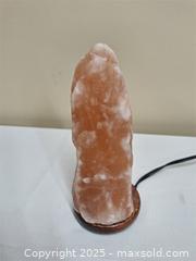 MaxSold Auction: Salt Lamp - Newburgh (Ontario, Canada) SELLER MANAGED Charity/Fundraising Online Auction - Academy Street
