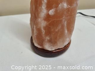 MaxSold Auction: Salt Lamp - Newburgh (Ontario, Canada) SELLER MANAGED Charity/Fundraising Online Auction - Academy Street