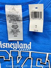 MaxSold Auction: Disneyland Mickey Sweatshirt – Blue, Kids Size 7/8, Classic Disney Pullover - Los Angeles (California, USA) SELLER MANAGED Reseller Online Auction -  Devonshire Street