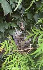 MaxSold Auction: Decorative Hanging Birdcage Planter, Metal Aged Bronze-Brown - Hamilton (Ontario, Canada) SELLER MANAGED Downsizing Online Auction - Cameron Avenue South