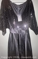 MaxSold Auction: XPLUSWEAR Black Plus Size Evening/Formal Gown, Size 2X - Hamilton (Ontario, Canada) SELLER MANAGED Downsizing Online Auction - Cameron Avenue South