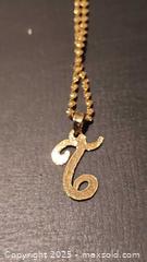 MaxSold Auction: 10K gold pendent on chain - Elgin (Ontario, Canada) SELLER MANAGED Estate Sale Online Auction - Main