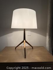 MaxSold Auction: Pair of Foscarini XX Table Lamps - Toronto (Ontario, Canada) SELLER MANAGED Downsizing Online Auction -  Chestnut Park Road
