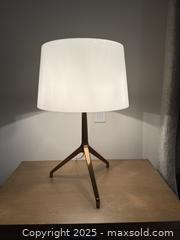 MaxSold Auction: Pair of Foscarini XX Table Lamps - Toronto (Ontario, Canada) SELLER MANAGED Downsizing Online Auction -  Chestnut Park Road