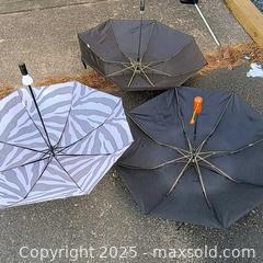 MaxSold Auction: Lot of foldable umbrellas  - Waterford (New Jersey, USA) SELLER MANAGED Downsizing Online Auction - Chew Road