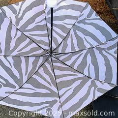 MaxSold Auction: Lot of foldable umbrellas  - Waterford (New Jersey, USA) SELLER MANAGED Downsizing Online Auction - Chew Road