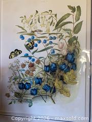 MaxSold Auction: 2 Framed Nature Prints - Toronto (Ontario, Canada) SELLER MANAGED Downsizing Online Auction - Grenview Boulevard South