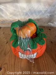 MaxSold Auction: Halloween pumpkin lot  - Cocoa (Florida, USA) SELLER MANAGED Estate Sale Online Auction - Broadcast Court