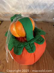 MaxSold Auction: Halloween pumpkin lot  - Cocoa (Florida, USA) SELLER MANAGED Estate Sale Online Auction - Broadcast Court