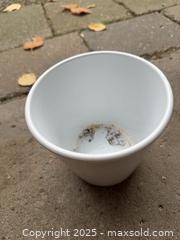 MaxSold Auction: White plant pot  - Toronto (Ontario, Canada) SELLER MANAGED Downsizing Online Auction -  Anglesey Boulevard
