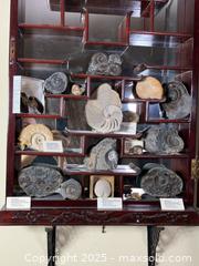 MaxSold Auction: Assorted Fossils  - Ottawa (Ontario, Canada) PARTNER MANAGED Estate Sale Online Auction - Killeen Avenue