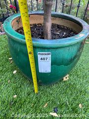 MaxSold Auction: Potted lime tree in green glazed ceramic pot C - Los Angeles (California, USA) Estate Sale Online Auction - La Castana Drive