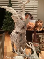 MaxSold Auction: Woodland Forest Lot - Toronto (Ontario, Canada) SELLER MANAGED Estate Sale Online Auction - Richbourne Court