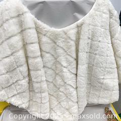 MaxSold Auction: Luxurious White Christmas Decor - 103128 - Ottawa (Ontario, Canada) SELLER MANAGED Estate Sale Online Auction - Frank Nighbor Place