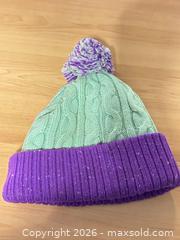 MaxSold Auction: Rugrats Reptar Toque - Toronto (Ontario, Canada) SELLER MANAGED Downsizing Online Auction - Carscadden Drive (CONDO)