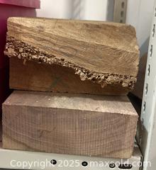 MaxSold Auction: Wood Lot - Point Edward (Ontario, Canada) PARTNER MANAGED Estate Sale Online Auction -  Michigan Avenue