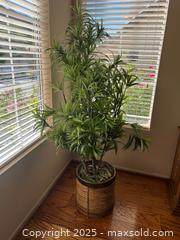 MaxSold Auction: Faux Indoor Tree - Oak Park (California, USA) PARTNER MANAGED Estate Sale Online Auction - Pesto Way