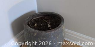 MaxSold Auction: Large Charcoal Gray Glazed Ceramic Planter with Drain Hole - Richmond Hill (Ontario, Canada) SELLER MANAGED Moving Online Auction - English Oak Drive