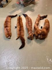 MaxSold Auction: Lot of 4 Vintage Mid-Century Mink Fur Stoles - Windsor (Ontario, Canada) PARTNER MANAGED Downsizing Online Auction - Ashland Drive