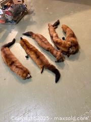 MaxSold Auction: Lot of 4 Vintage Mid-Century Mink Fur Stoles - Windsor (Ontario, Canada) PARTNER MANAGED Downsizing Online Auction - Ashland Drive