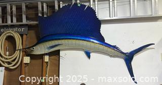 MaxSold Auction: Sailfish Wall-Mounted Full-Body Replica, Approx. 6–7 ft - Windsor (Ontario, Canada) PARTNER MANAGED Downsizing Online Auction - Ashland Drive