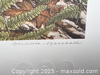 MaxSold Auction: &#34;Racoons&#34; Lithograph by Christine Marshall with Certificate (57/250) - Markham (Ontario, Canada) SELLER MANAGED Estate Sale Online Auction - John Street (STORAGE)